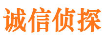 隆阳外遇取证